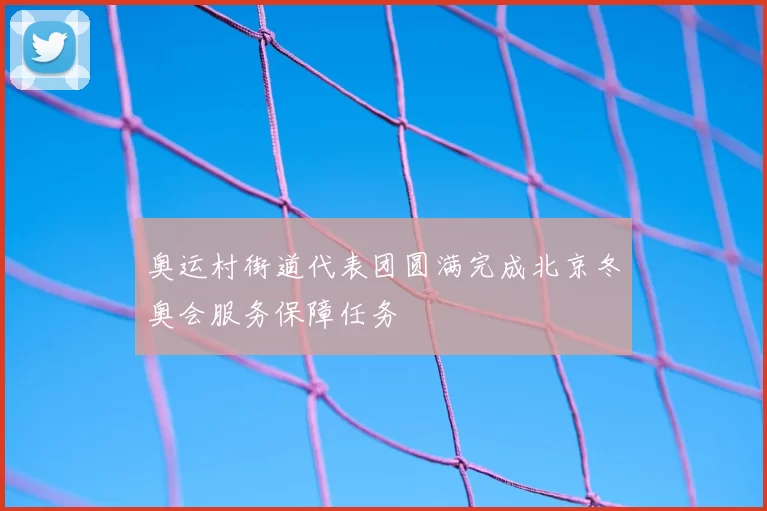 奥运村街道代表团圆满完成北京冬奥会服务保障任务